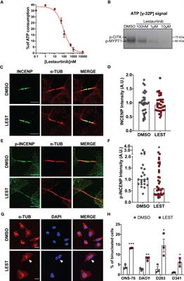 Lestaurtinib inhibits Citron kinase activity and medulloblastoma growth through induction of DNA damage, apoptosis and cytokinesis failure